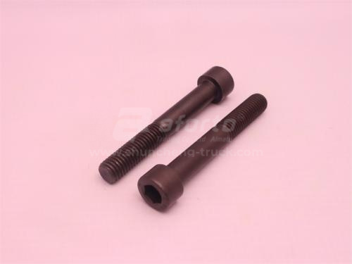 Болт под шестигранник 10*70*1.5 натяжителя WP10.340E22 (оригинал)