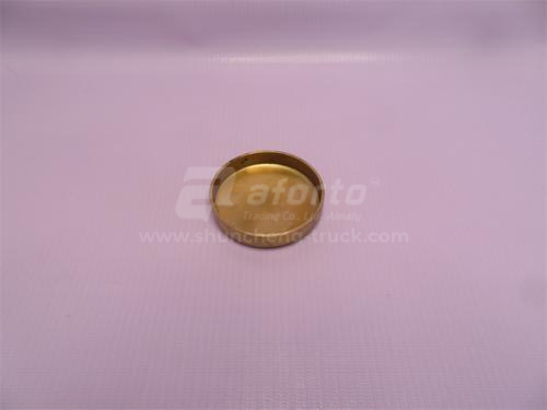 Заглушка блока двигателя (ф-65) WD615 медные