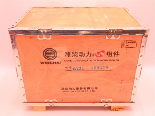 Поршневая группа WP10 EGR (оригинал)