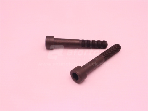 Болт под шестигранник 10*65*1.5 натяжителя WP13/WP12.430E201 (оригинал)