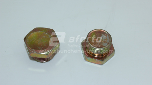 Пробка 22*12*1.5 резьбовая WD615 Euro II NG12-M22X1.5