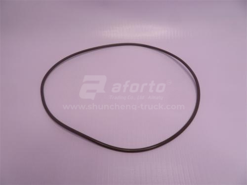 Кольцо уплотнительное бортового редуктора SHAANXI/ NORD BENZ/MAN/FAW 290 большое QINYAN