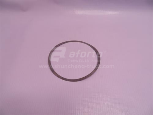 Шайба регулировочная балансира STEYR/TX380/TX400/TX440/C7H/GTL S=0.1mm 111*122