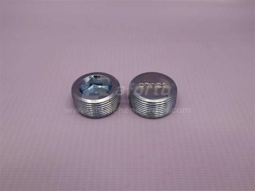 Пробка 30*20*1.5 резьбовая на мост AC16 (оригинал)