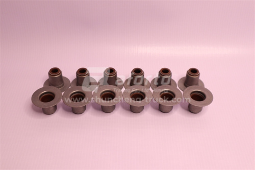 Сальник клапана WP10 Euro II (12 штук большой ) QINYAN