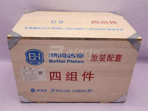 Поршневая группа SHANGCHAI D9 BOHAI