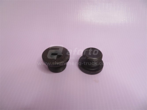 Заглушка резьбовая крышки бортового редуктора HOWO 2009 AC16 маленькая 24mm