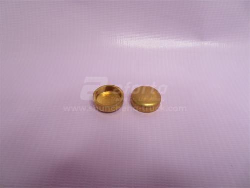 Заглушка блока двигателя (ф-22) WD615 (оригинал)