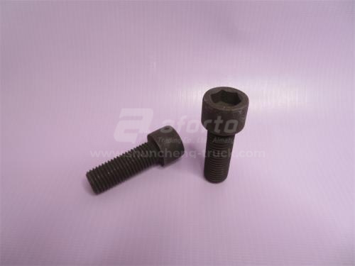 Болт под шестигранник 16*45*2.0 суппорта тормозного HOWO 2009