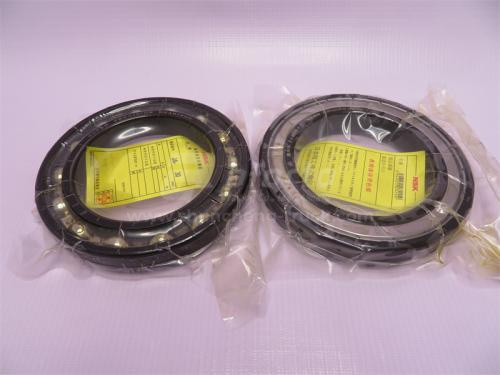 Подшипник дифференциала STEYR межосевого задний 6019Z/60119 NSK