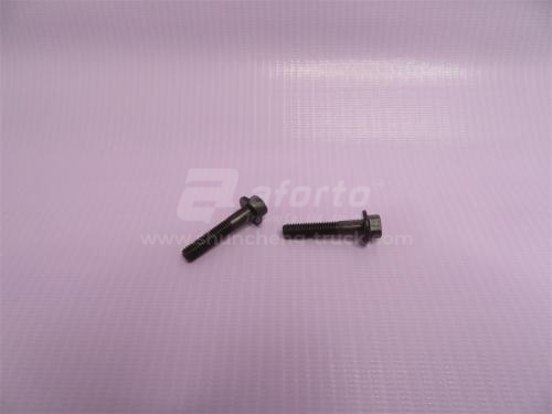 Болт 6*30*1.0 для крепления форсунок QSB6.7