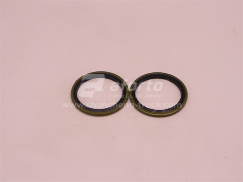 Шайба резинометалическая D = 27 (100 шт)