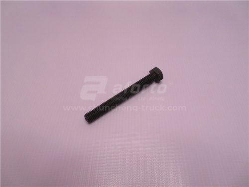 Болт 12*100*1.75