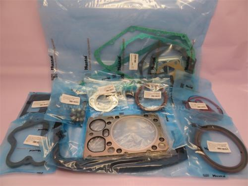 Ремкомплект двигателя WEICHAI WD615/WP10 полный (все прокладки +сальн) HUATAIZHONGKA