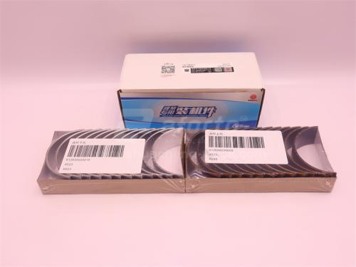 Вкладыши шатунные WP12.430E201 (оригинал)