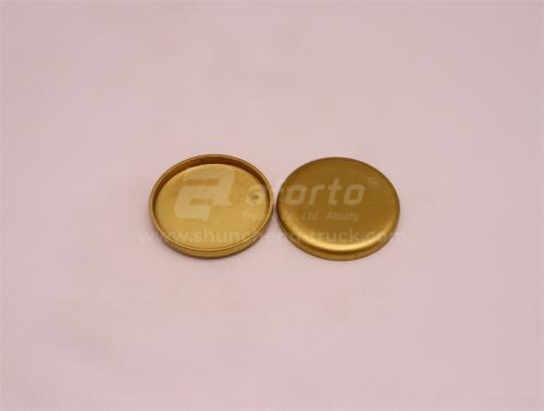 Заглушка блока двигателя D12/WP12 D=60