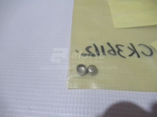 Заглушка блока двигателя CUMMINS ISM11