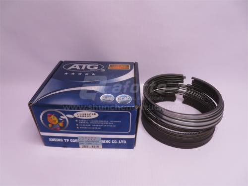 Кольца поршневые WD615/WD618 Euro II пятизвездочный ANQING