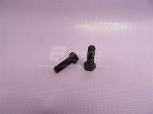 Болт 8*25*1.25 WD615 Euro II  D00933 (хорошее качество)