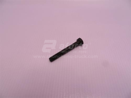 Болт 8*60*1.25 крышки термостата HOWO (хорошее качество)