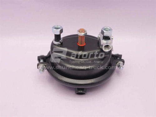 Энергоаккумулятор SHAANXI X3000/M3000 переднего моста правая AFORTO