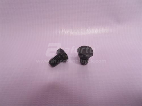 Болт 8*12*1.25 КПП FAST (хорошее качество)