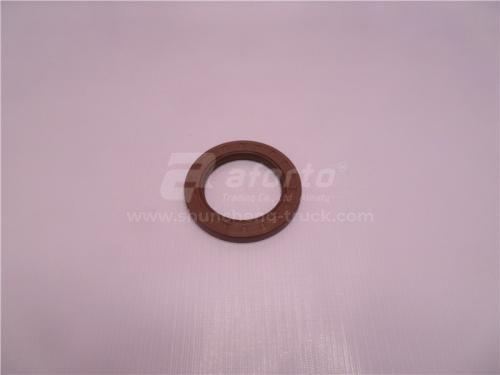 Сальник КПП DONGFENG TIANLONG 66*96*10