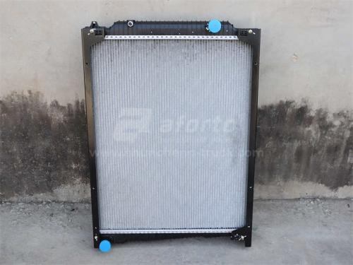 Радиатор охлаждения SHAANXI M3000 2020 пластмассовый (оригинал)