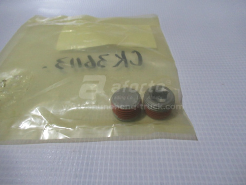 Пробка Коллектор впускной CUMMINS ISM11