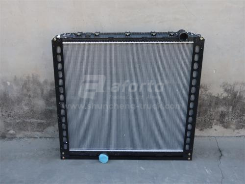 Радиатор охлаждения SHAANXI X6000 2002