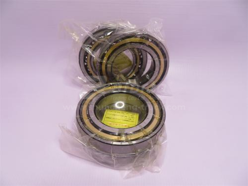 Подшипник PENGPU PD320Y