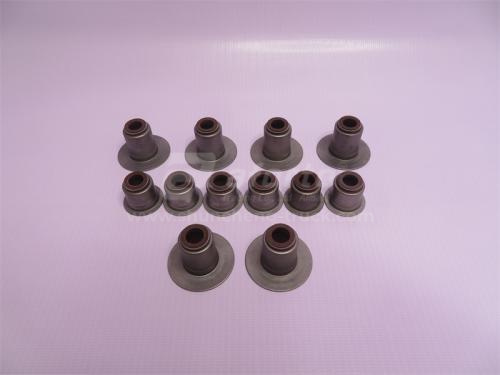 Сальник клапана WP10 Euro II (6 штук большой  6 штук маленькие ) QINYAN