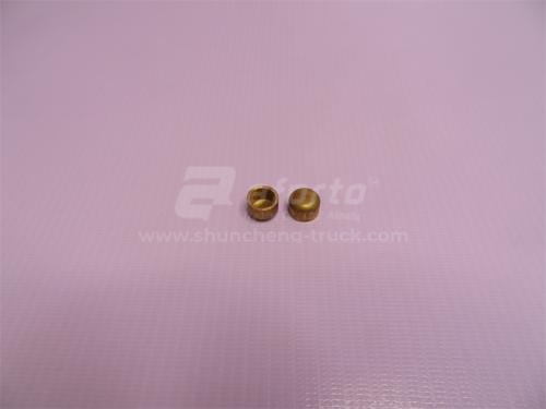 Заглушка блока двигателя (ф-12) WD615 медные