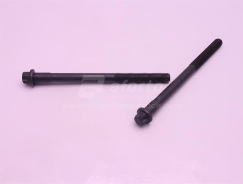 Болт головки блока 18*250*2.0 MAN MC11