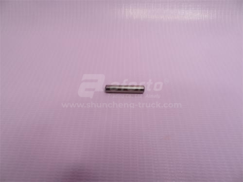 Иголка подшипника бортового редуктора NORD BENZ