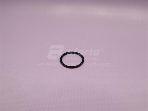 Кольцо уплотнительное шланг масляный SHANTUI SD22/23 NT855-C280