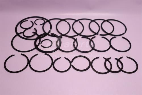 Кольцо стопорное КПП комплект FAST 9JS/9JSD/RTD