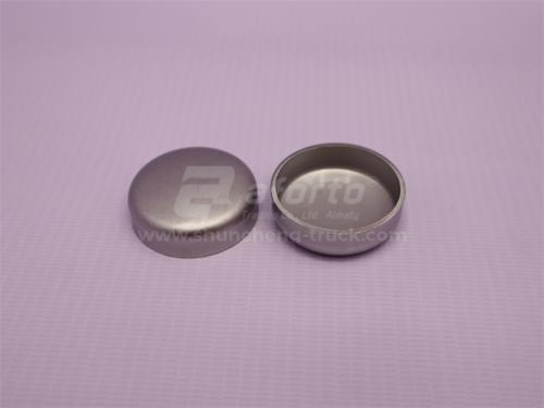 Заглушка блока двигателя D12/WP12 D=36 (оригинал)