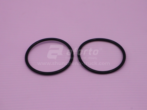 Кольцо уплотнительное термостата WP10.340E22