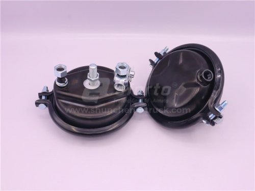 Энергоаккумулятор SHAANXI X3000/M3000 переднего моста левая AFORTO