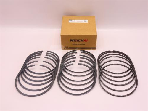 Кольца поршневые WD615/WD618 Euro II (оригинал)