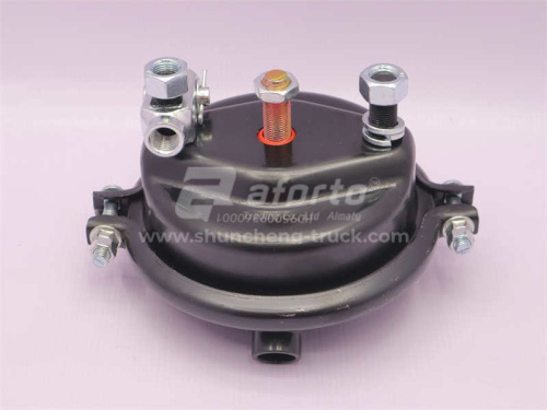 Энергоаккумулятор SHAANXI X3000/M3000 переднего моста левая AFORTO