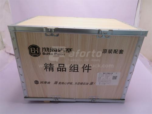 Поршневая группа WP12/D12 BOHAI JINGPIN