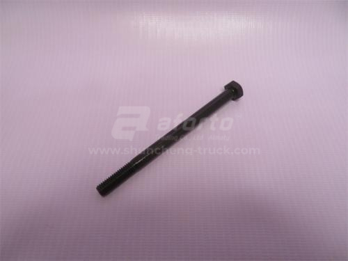 Болт 8*110*1.25 WD615 Euro II DIN933 (хорошее качество)