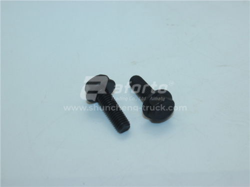 Болт с шляпкой 8*25*1.25 Фланец гидромуфты WP10.380E22