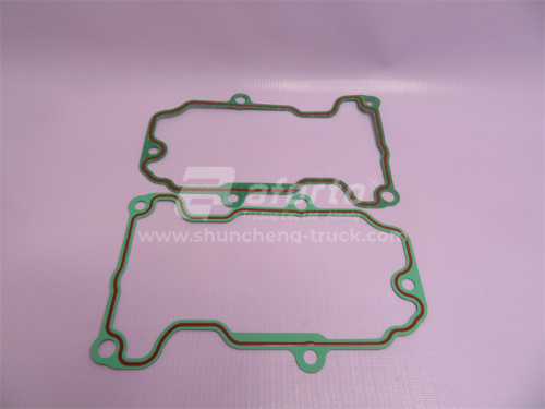 Прокладка крышки клапанов WP13