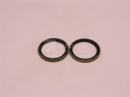 Шайба резинометалическая D = 27 (100 шт)