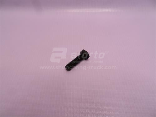 Болт 10*34*1.5 КПП FAST (хорошее качество)