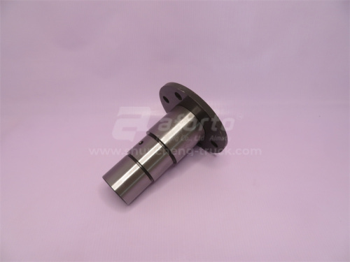 Палец поворотный нижний (в раме) XCMG LW300F