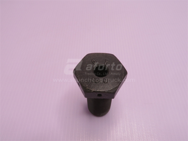 Болт 24*55*2.0 балансира STEYR полый QINYAN